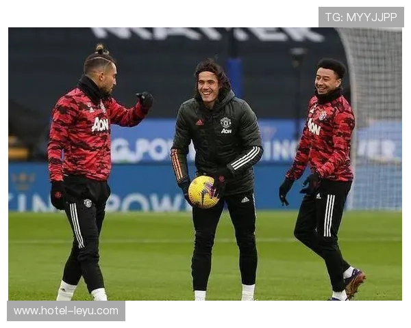 卡瓦尼与伊布锋线转移下的射门集中趋势对比