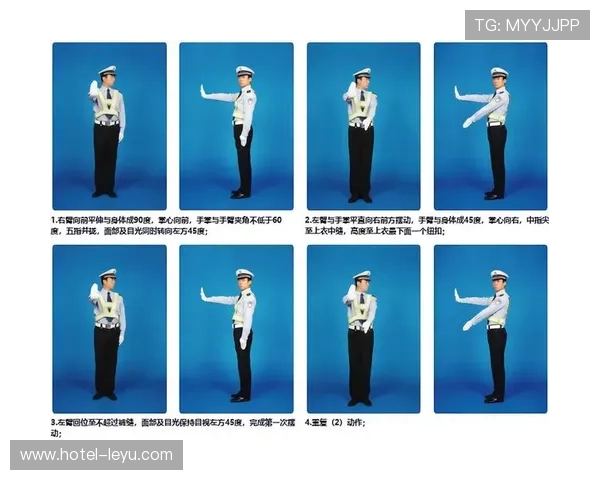 裁判手势图解：常见信号含义与判罚规则解析