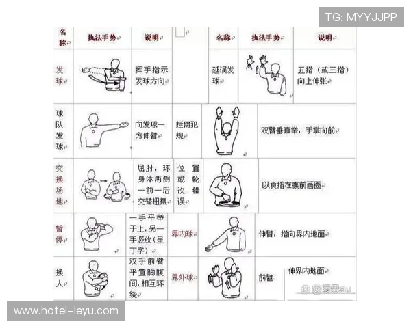 新手裁判必看：一文读懂裁判手势规则全图解